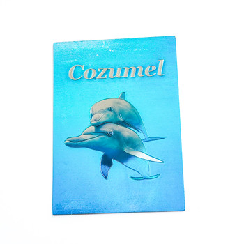Dolphin Foil Magnet Plain Cozumel