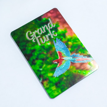 5011 Parrot Foil Magnet Grand Turk