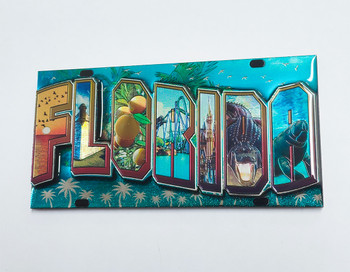 5258 Large Florida Magnet