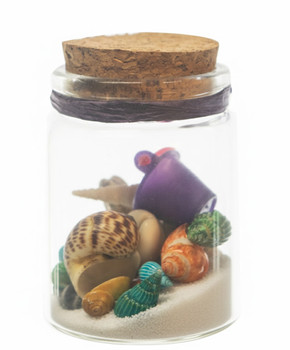 Small Bottle w/ Sand & shells no Topper 2.75" White Sand