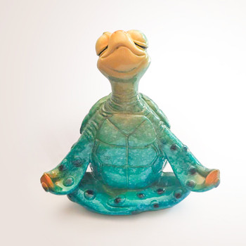 27 Meditating Turtle