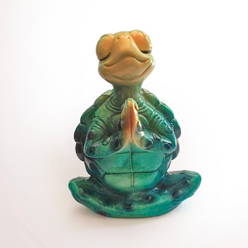 28 Meditating Turtle