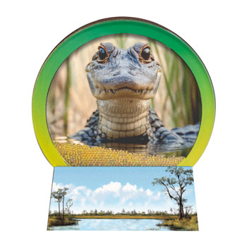 5271A Snow Globe Magnet Gator
