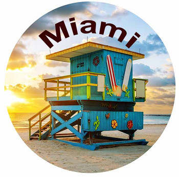 Miami Palm  Glass Magnet 50mm