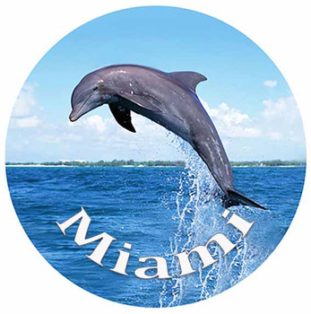 Miami Dolphin  Glass Magnet 50mm