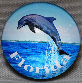 Forida Dolphin Glass Magnet 50mm