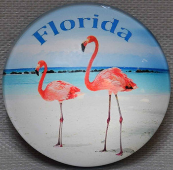 Florida Flamingos  Glass Magnet 50mm