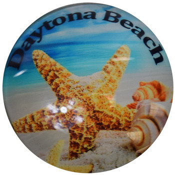 Daytona Beach Gator Glass Magnet 50mm