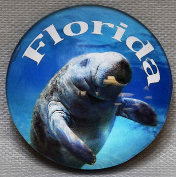 Florida Manetee G1000-13 Glass Magnet  50mm