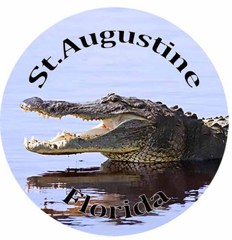 St. Augustine Alligator Glass Magnet 50mm
