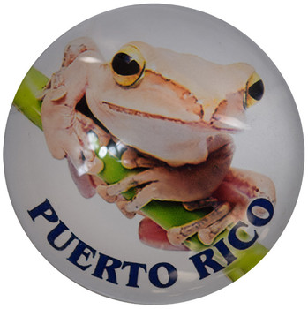 Puerto Rico Frog  Glass Magnet 50mm