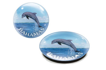 Bahamas Dolphin  Glass Magnet 50mm
