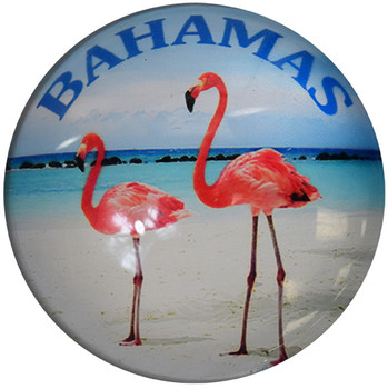 Bahamas Flamingo Glass Magnet 50mm