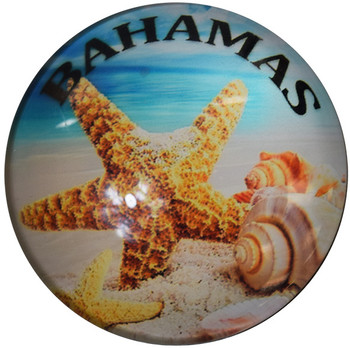Jupiter, FL Dolphin  Glass Magnet 50mm