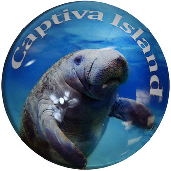 Captiva Island Manatee Glass Magnet 50mm