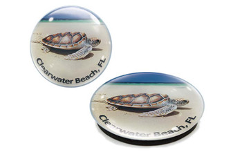Clearwater Beach Turtle  Glass Magnet 50mm