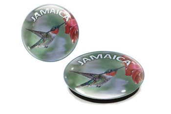 Jamaica Humming Bird G1000-81 Glass Magnet 50mm
