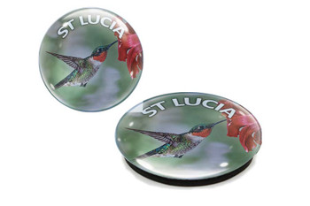 St Lucia Humming Bird G1000-86 Glass Magnet 50mm