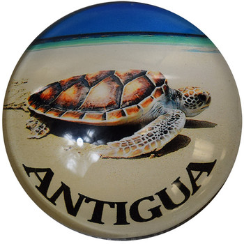 Antigua Turtle G1000-89 Glass Magnet 50mm