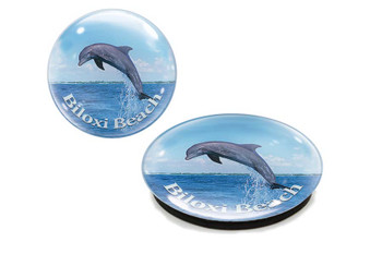 Biloxi Beach Dolphin G1000-95 Glass Magnet 50mm