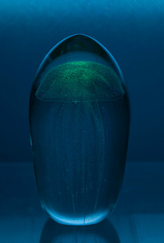 Glass Jellyfish 4 1/4? Blue