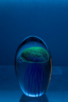 Glass Jellyfish 4 1/4?Navy Blue