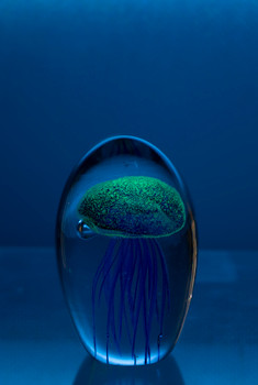 Glass Jellyfish 4 1/4?Navy Blue