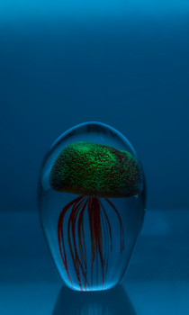 Glass Jellyfish 4 1/4? Red