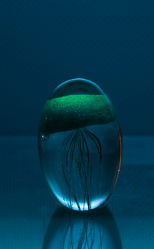 Glass Jellyfish 3 1/4?" Blue