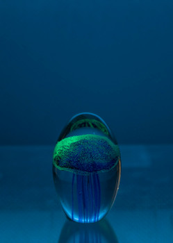 Glass Jellyfish 3 1/4? Navy Blue