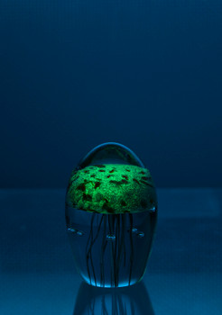 Blue/Orange Glass Jellyfish 3 1/2?