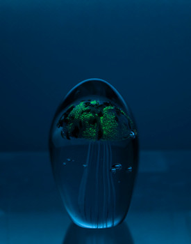 Light Pink Glass Jellyfish 4 1/4?