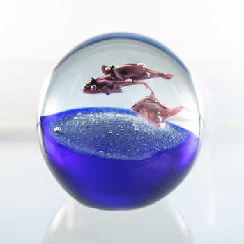 Stingrays Swimming in ball