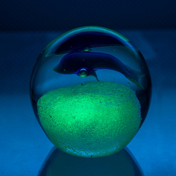 Dolphins in the ball 3 1/2"