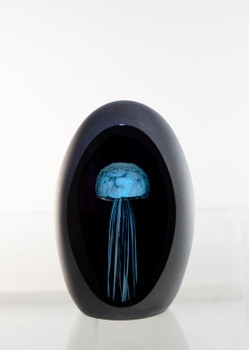 Jellyfish-BLUE/BLK 4"