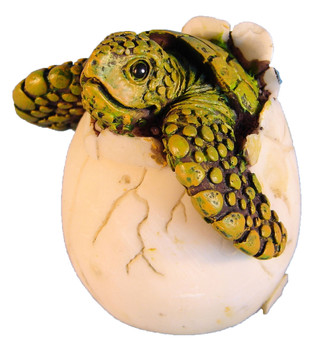 Turtle Egg 2 1/2"