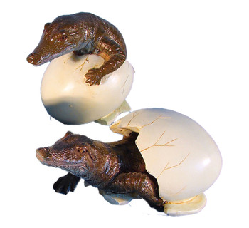 Alligator Eggs 2 1/2" 4 Asst