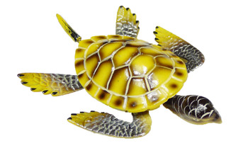 Jiggly Turtle Magnet 4" (2 assorted)