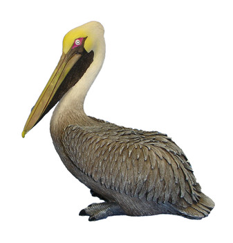 Brown Pelican Sitting 8"