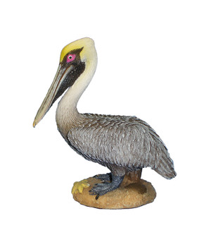 Brown Pelican on Sand 4"