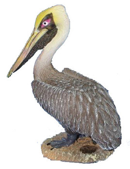 Brown Pelican on Sand 3"