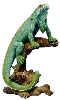 Iguana on Branch 9"