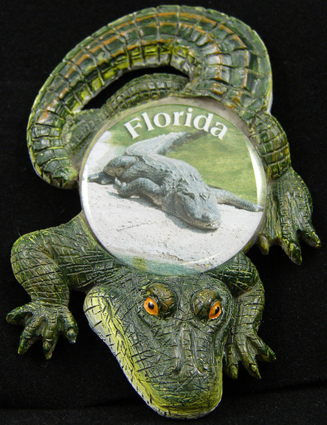 Alligator 30mm Magnets 2 3/4"