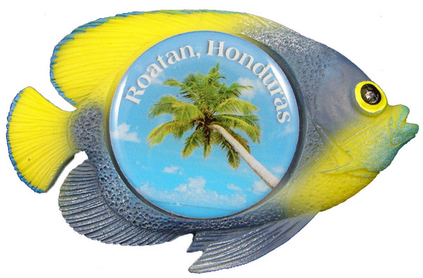 Tropical Fish 30mm Emblem Magnets 2 1/2"