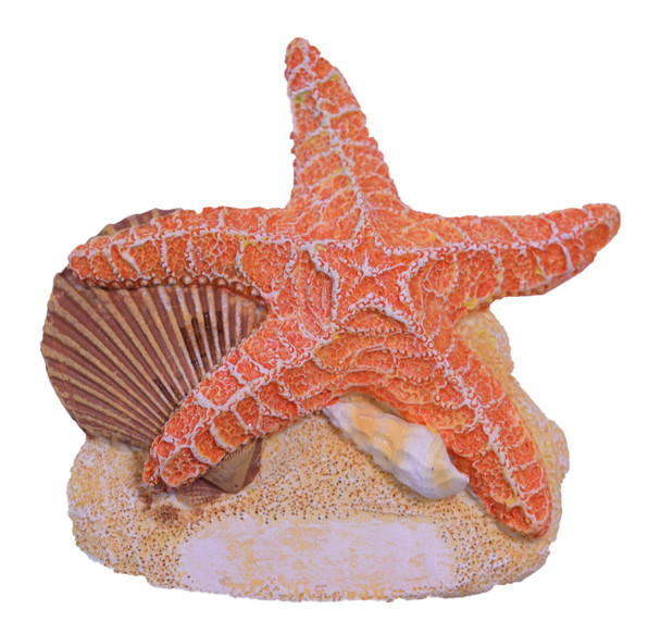 Starfish Magnet 3"