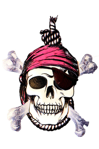 Pirate Skull Magnet 3 1/2"