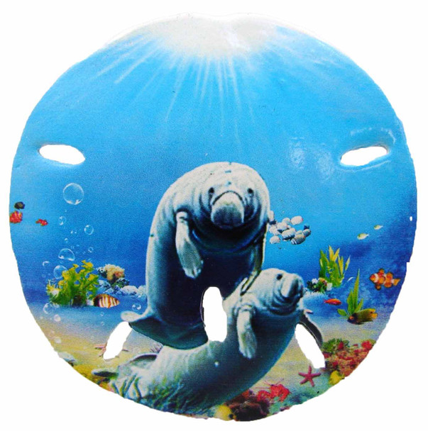 Sand Dollar Magnet (Manatees) 3"