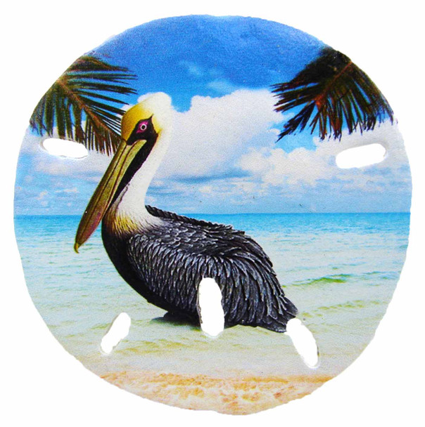Sand Dollar Magnet (Pelican) 3"