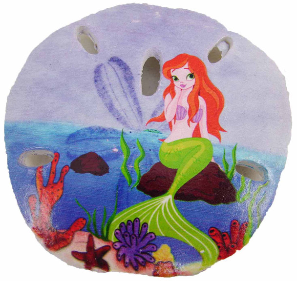 Sand Dollar Magnet (Mermaid) 3"