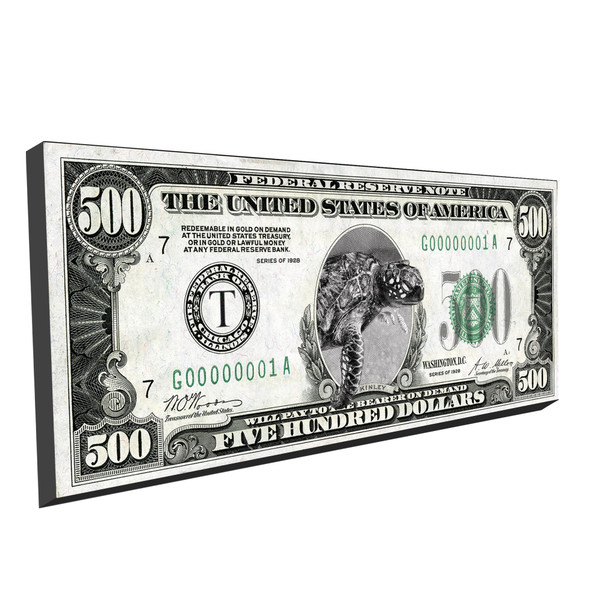 F Foil Turtle Magnet